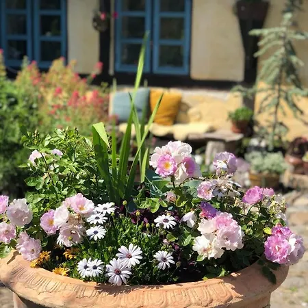 Vangeled Gaard - 3* Holtug