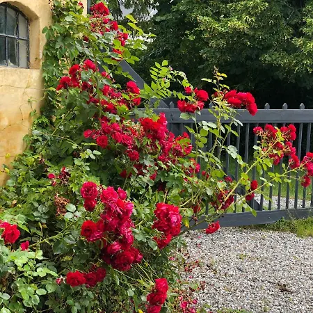 Vangeled Gaard -