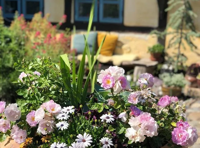 Vangeled Gaard - 3* Holtug