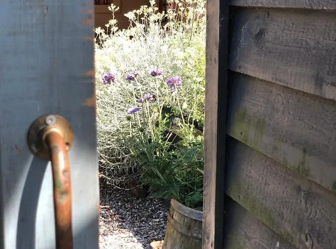 Vangeled Gaard - Holtug