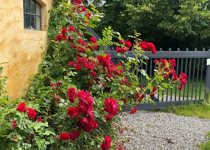 Vangeled Gaard -